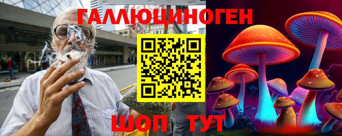 Псилоцибиновые грибы Cubensis Кудрово
